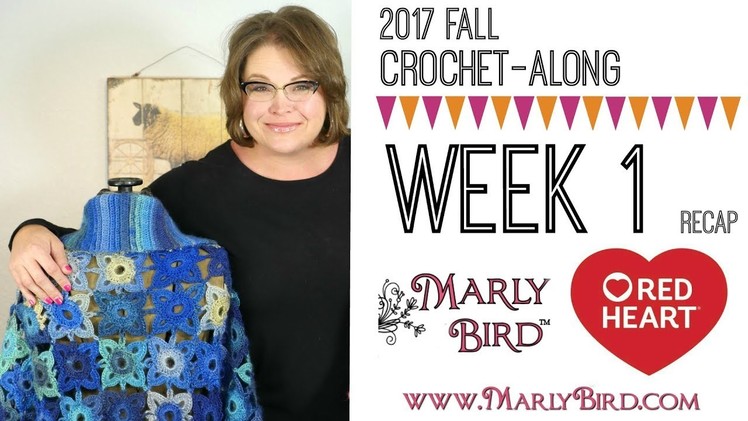 Crochet Along Video Recap Week 1