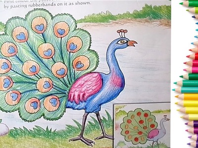 How to Draw a Peacock Step by Step in easy Method Drawing for Children Toddlers Learning
