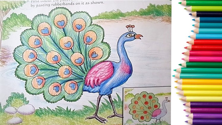 How to Draw a Peacock Step by Step in easy Method Drawing for Children Toddlers Learning