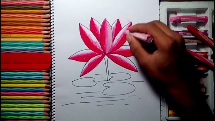 HOW TO DRAW A WATER LILY