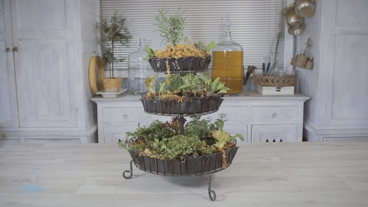 How to make a Countertop Herb Garden for your Kitchen