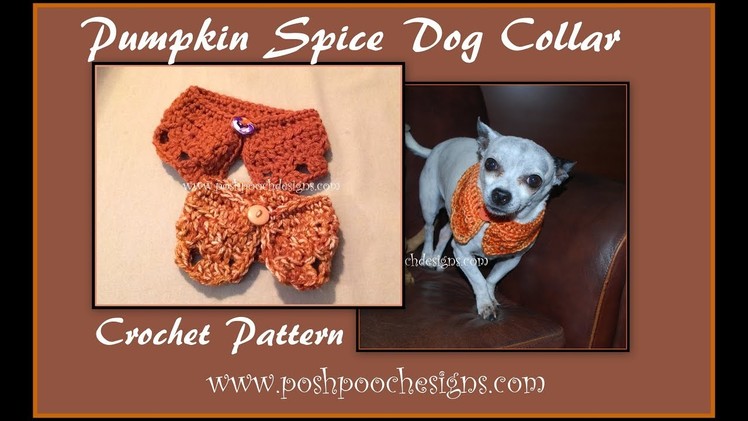 Pumpkin Spice Dog Collar Crochet Pattern