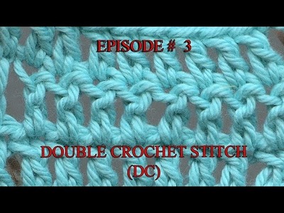 Stitch Gallery & Glossary Episode #3: Double Crochet