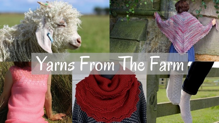 6. Shearing at Whistlebare from Angora Goat to Knitting Yarn