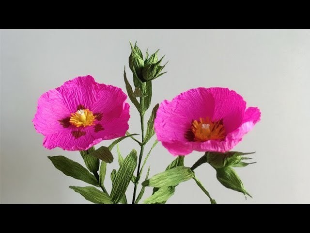 ABC TV | How To Make Cistus Purpureus Paper Flower From Crepe Paper - Craft Tutorial