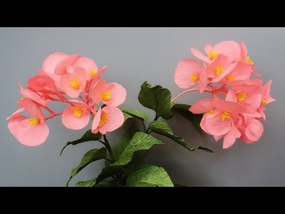 ABC TV | How To Make Dragon Wing Begonia Paper Flower From Crepe Paper - Craft Tutorial