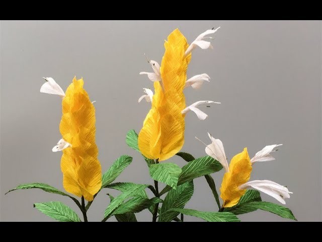 ABC TV | How To Make Pachystachys Lutea Paper Flower From Crepe Paper - Craft Tutorial