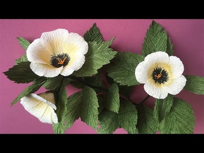 ABC TV | How To Make White Alder (Turnera subulata) Paper Flower From Crepe Paper - Craft Tutorial