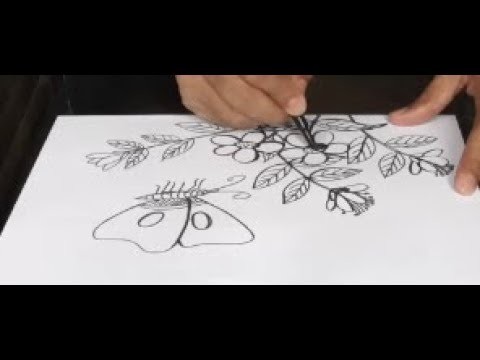 Art & Craft: How to Draw Flower with Butterfly ফুল ও প্রজাপতি অংকন