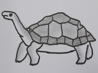 How to Draw a Turtle Easy Step by Step - Drawing for kids - How to Draw a Tortoise