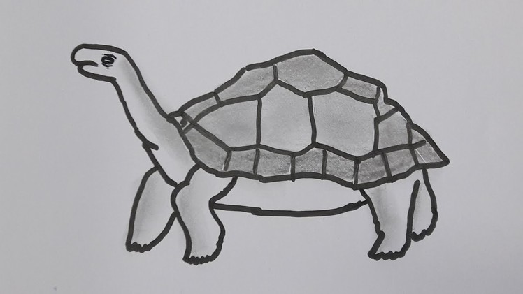 How to Draw a Turtle Easy Step by Step - Drawing for kids - How to Draw a Tortoise