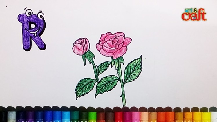 How to draw and color a Rose for alphabet letter 'R' ?  रगीन गुलाब बनाइये कागज पर