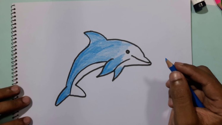 How to Draw Dolphin - Drawing a Dolphin for Kids || Avro Drawing School
