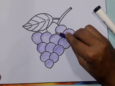 How to Draw Grapes Step by Step For Beginners - Easy Drawing for Kids || Avro Drawing School