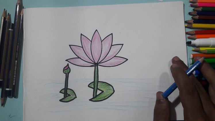 How to Draw Water Lily Step by Step ❀ Water Lily Drawing || Avro Drawing School