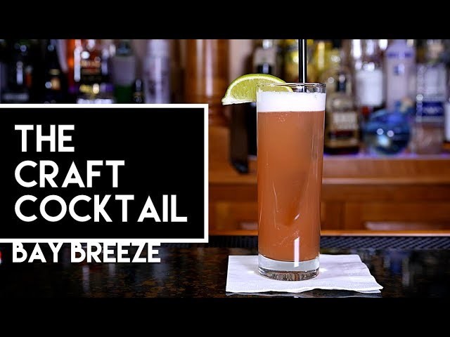 How To Make The Bay Breeze Cocktail | Bartending 101 ???? The Craft Cocktail