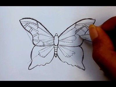 ᴴᴰ How To Draw Butterfly sketch