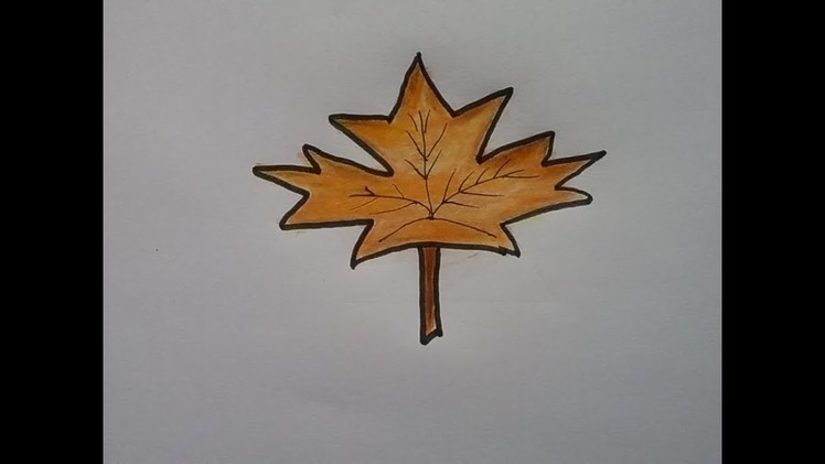 How to draw a maple leaf , autumn leaf drawing, colour pencil shading