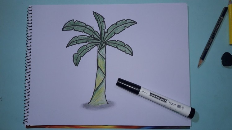 How to Draw Banana Tree Step by Step For Beginners || Avro Drawing School