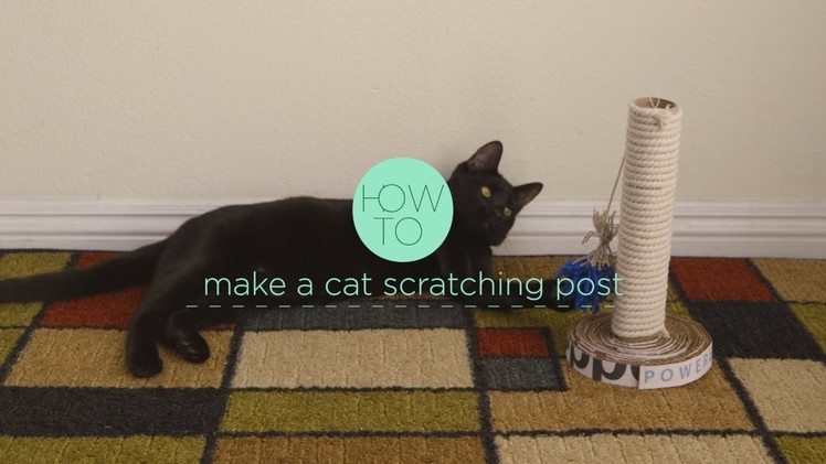 How To Make A Cat Pole From A Cardboard Box | Zappos.com DIY