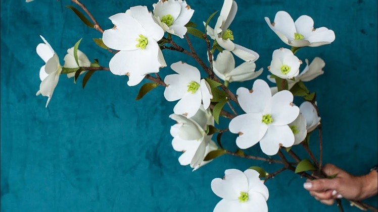 How To Make A Crepe Paper Dogwood Branch