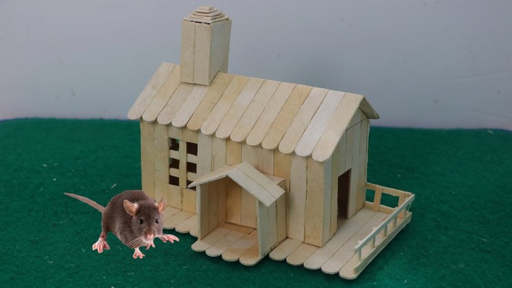 How to make ice cream stick house for RAT