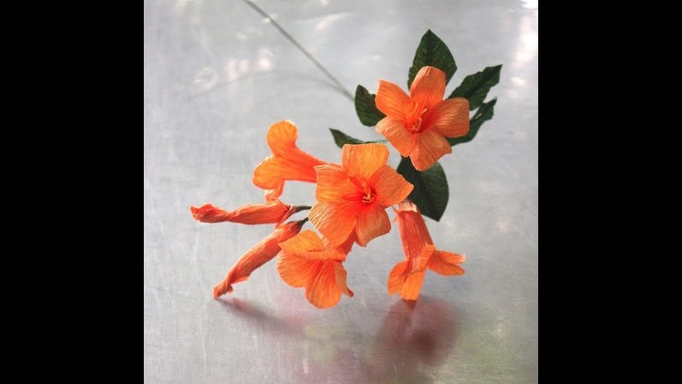 How to make Trumpet creeper flower by creppe paper