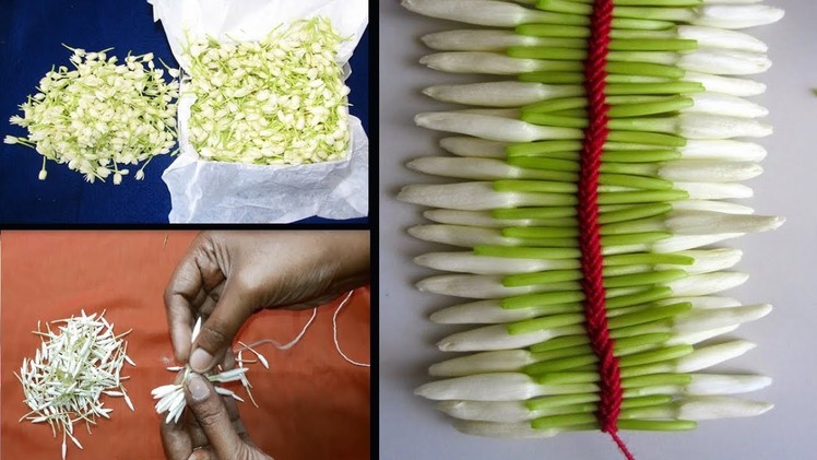 How To string jasmine garland | string pichi flower using hand | How to tie madurai pichi poo jadai