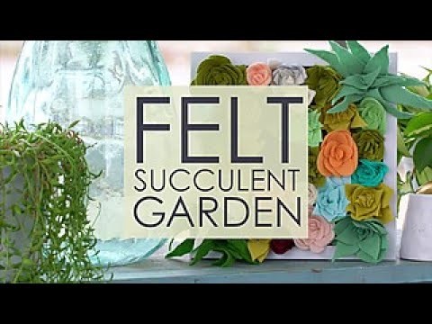 DIY Felt Succulent Garden - HGTV Happy