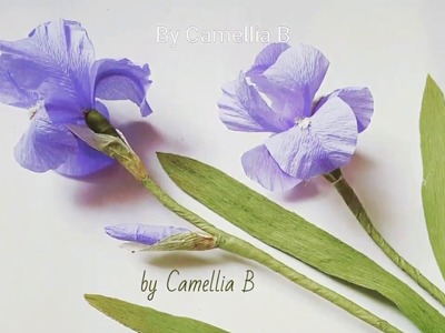 DIY -  Paper Iris flowers from crepe paper II - Hoa diên vỹ giấy nhún