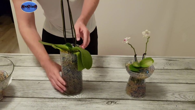 Planting Orchids with Water Beads - DIY !! Amazing !! ✔