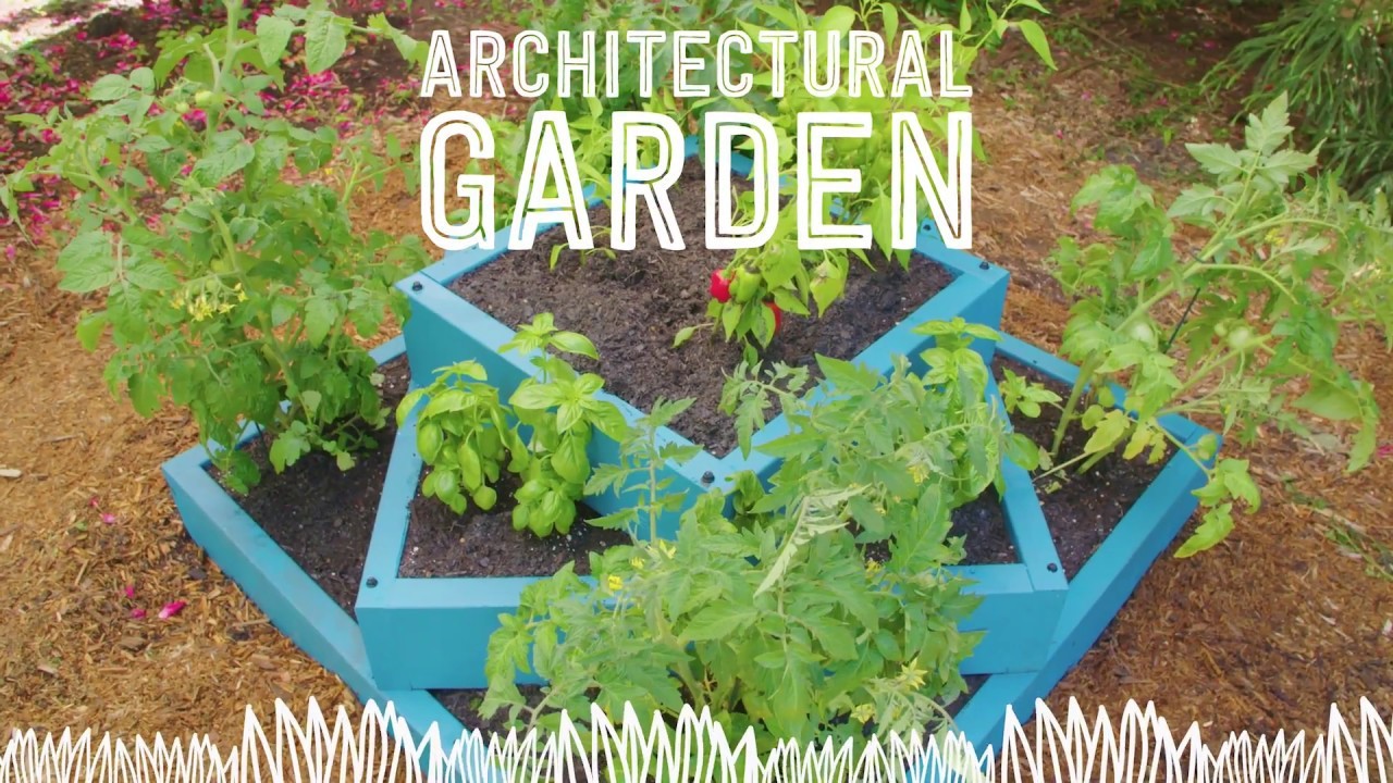 DIY Architectural Garden - Way to Grow - HGTV