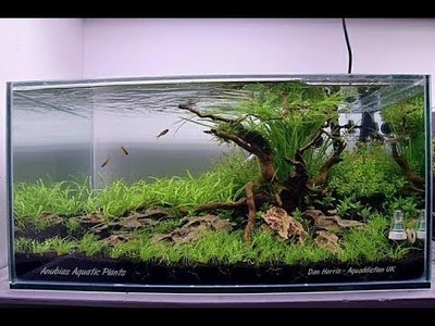 How to Make an Aquarium at Home   Do it Yourself DIY