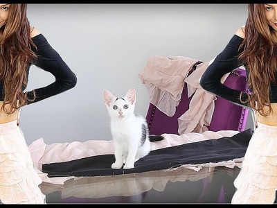 NEW! DIY Ruffle Pants + My Hurricane Harvey Rescue Kitten