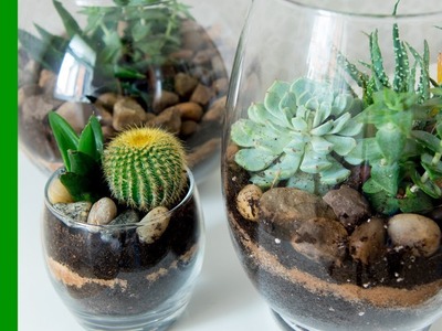 Succulent Planter Ideas - Growing your First Collection - Easy DIY by Warren Nash