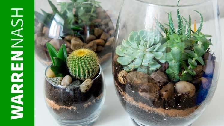 Succulent Planter Ideas - Growing your First Collection - Easy DIY by Warren Nash