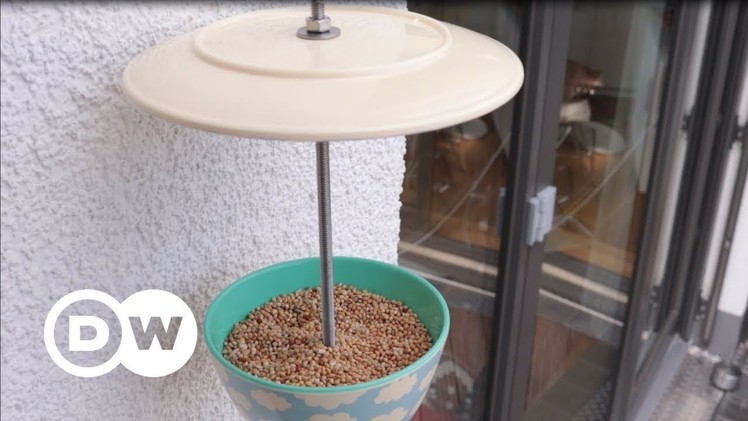 DIY - How to make a bird feeder