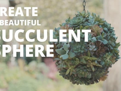 DIY Succulent Sphere - Easy Does It - HGTV