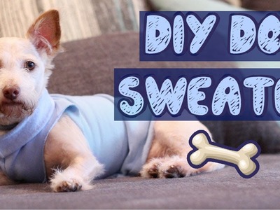Easy DIY Dog Sweater (No Sew) | Pet DIYs