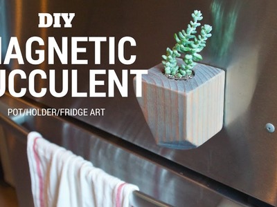 DIY Magnetic Succulent Pot