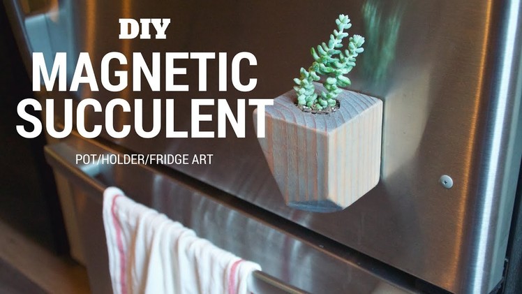 DIY Magnetic Succulent Pot