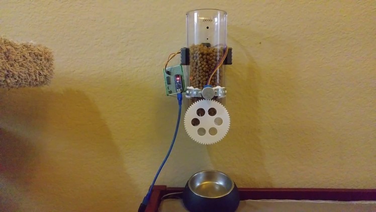 DIY Automated cat feeder