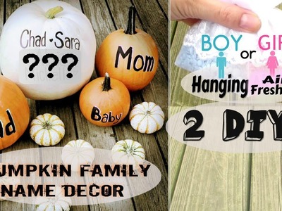 BABY'S GENDER & NAME REVEAL  | Family Pumpkins & PinkZebra Air Freshener