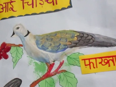 3d birds chart.teaching aid for class 3,4 and 5