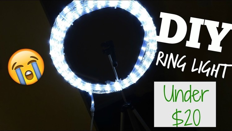 DIY RING LIGHT| Walmart  Everything Under $20