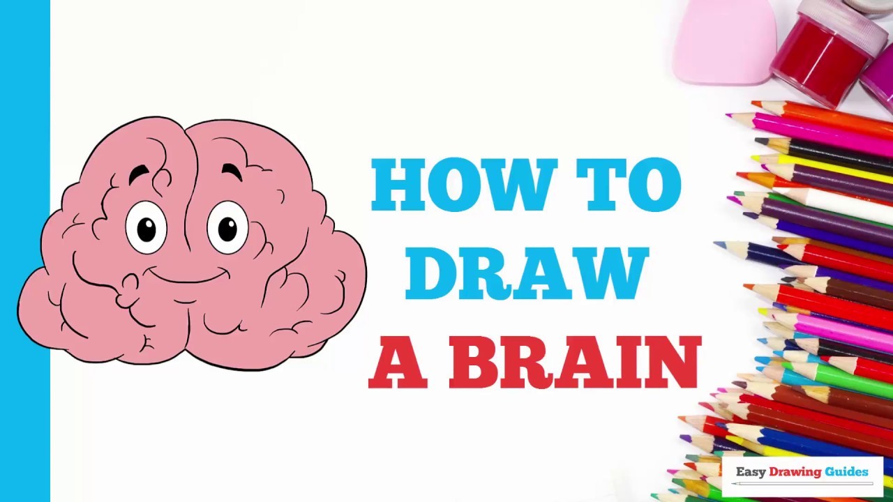 How To Draw A Brain In A Few Easy Steps Drawing Tutorial For Kids And Beginners