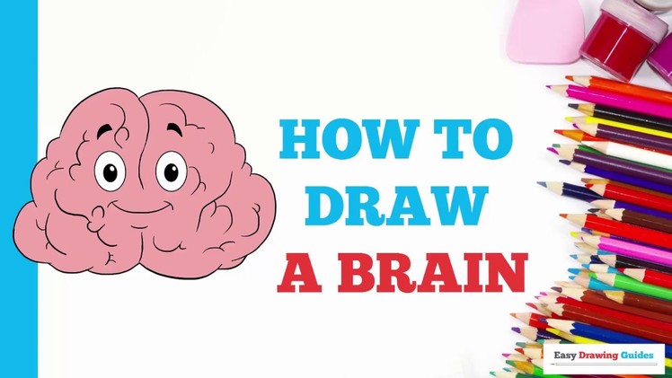 How to Draw a Brain in a Few Easy Steps: Drawing Tutorial for Kids and Beginners