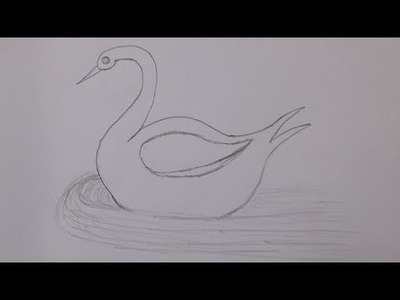 How to Draw A Duck for Kids | Drawing Duck Easy || Avro Drawing School