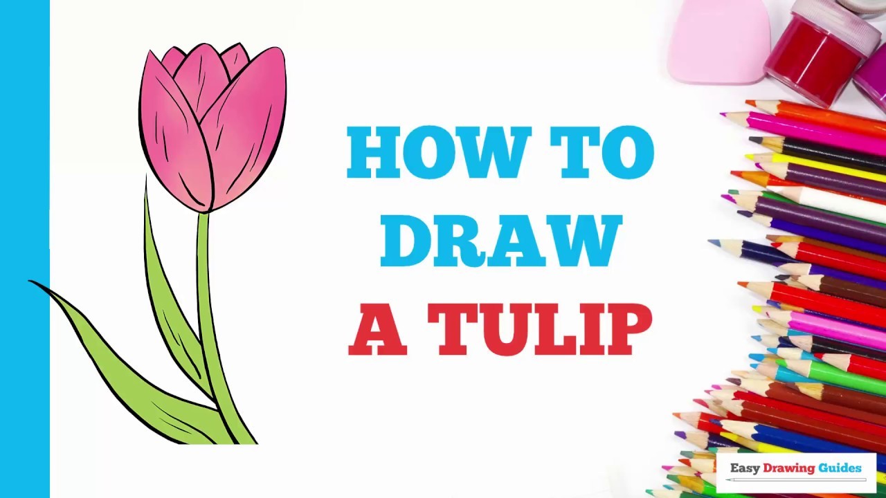 How to Draw a Tulip in a Few Easy Steps: Drawing Tutorial for Kids and ...