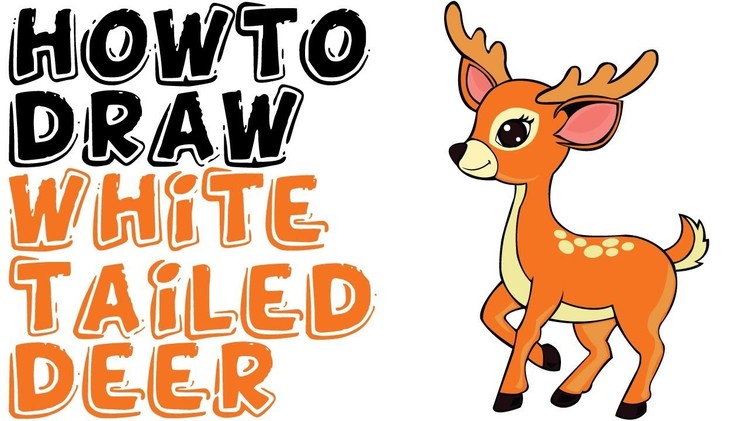 How To Draw A White Tailed Deer Easy For Kids Step By Step